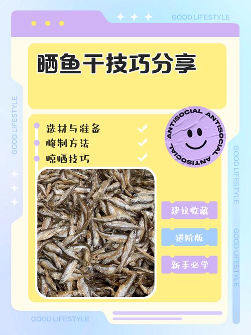 没太阳怎么晒鱼