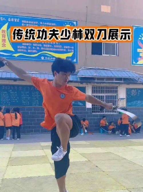 武术双刀套路和教学视频