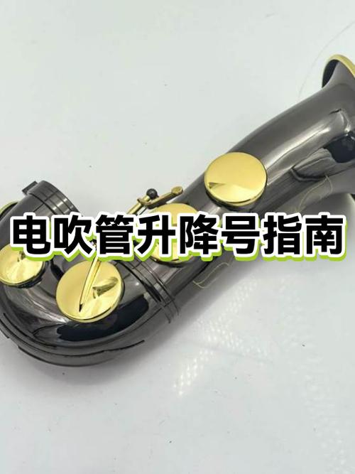 简谱中的升降号的规定缩略图