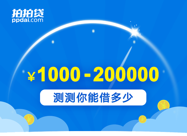 什么叫拍拍贷款