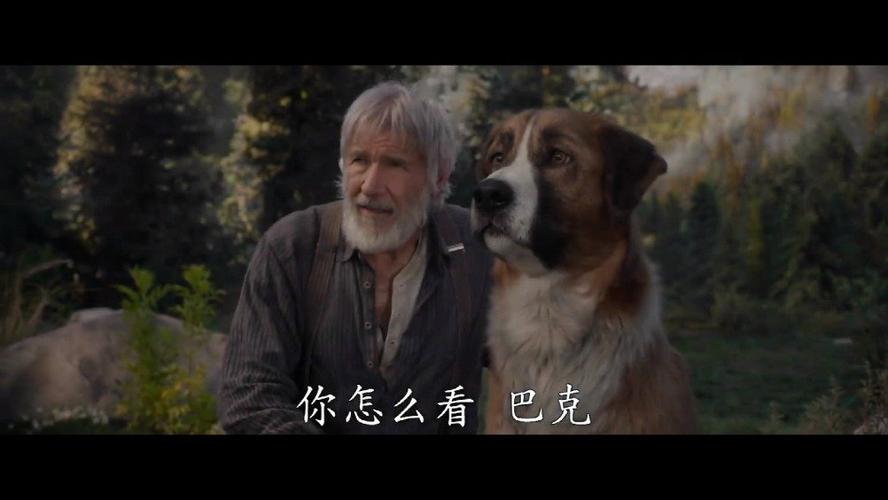 《部落》电影完整版
