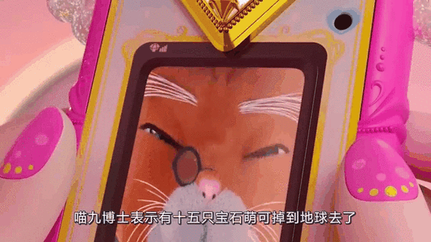 喵九去哪了