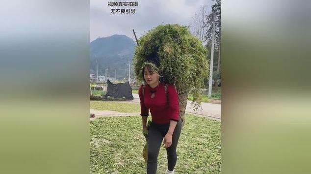 姑娘的乡村故事免费版