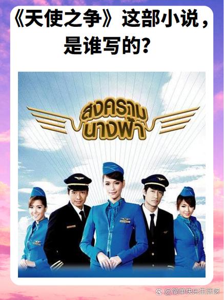 飞行员和小空乘 小说