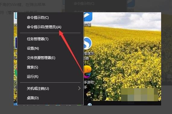 网络设置还原到windows初始状态