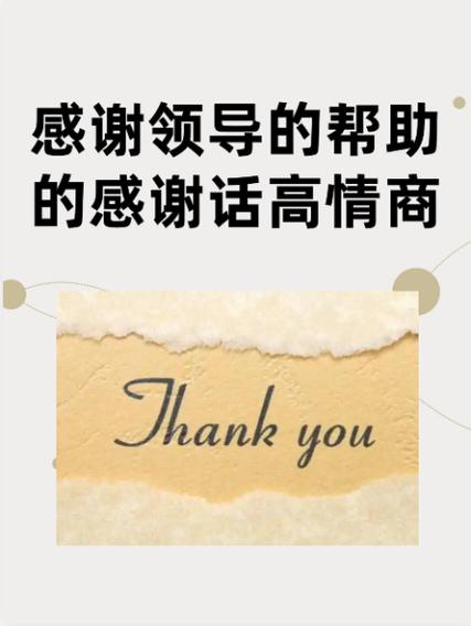 您们 这个词正确吗