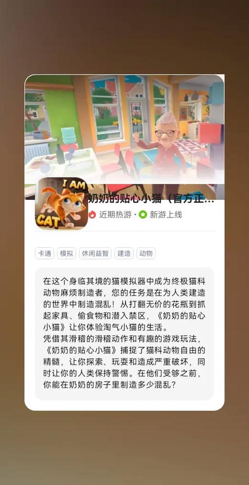 奶奶的贴心小猫正版在哪下载