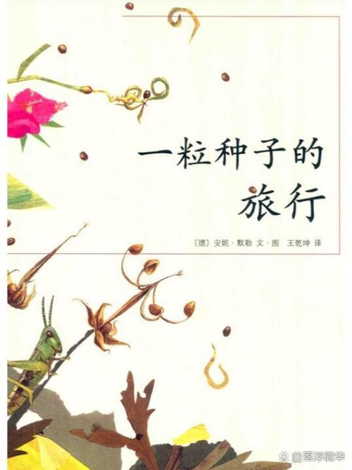 《一粒种子的旅行》绘本故事