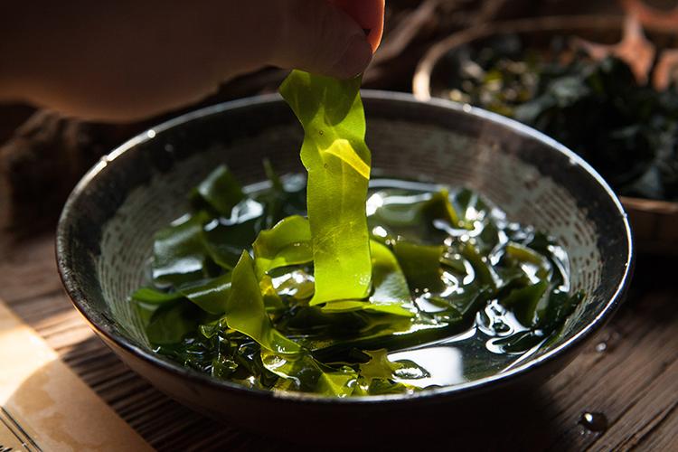 海带天下
