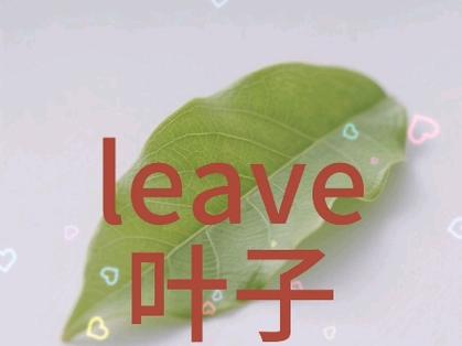 leave是离开还是叶子