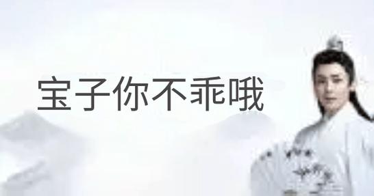 丫头你不乖