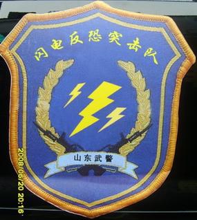 特战行动蓝色闪电突击队
