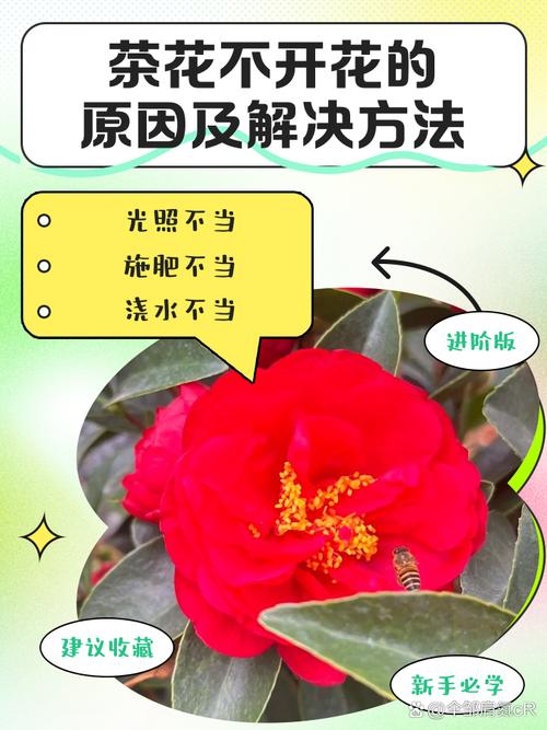 网银被锁原因及解决方法