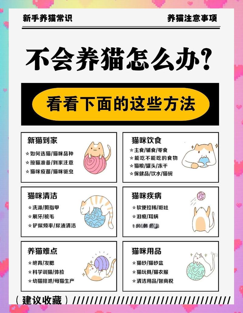 刺猬猫怎么看vip