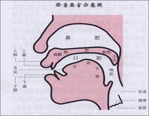 声音尖细挤捏是不是指声音紧