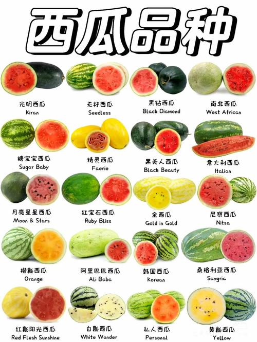 西瓜颜色深的好还是浅的好
