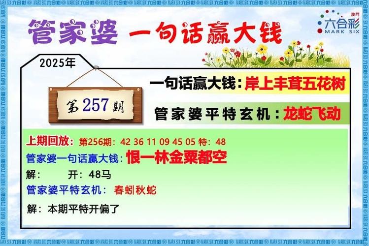 2026精准资料免费大全缩略图