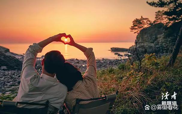 理想的婚姻在线阅读缩略图