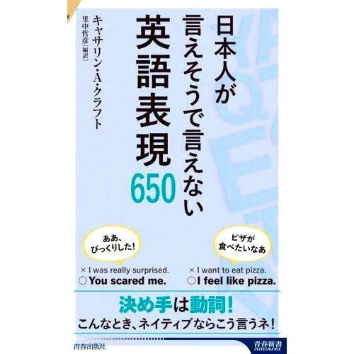 日本を言えないの什么意思