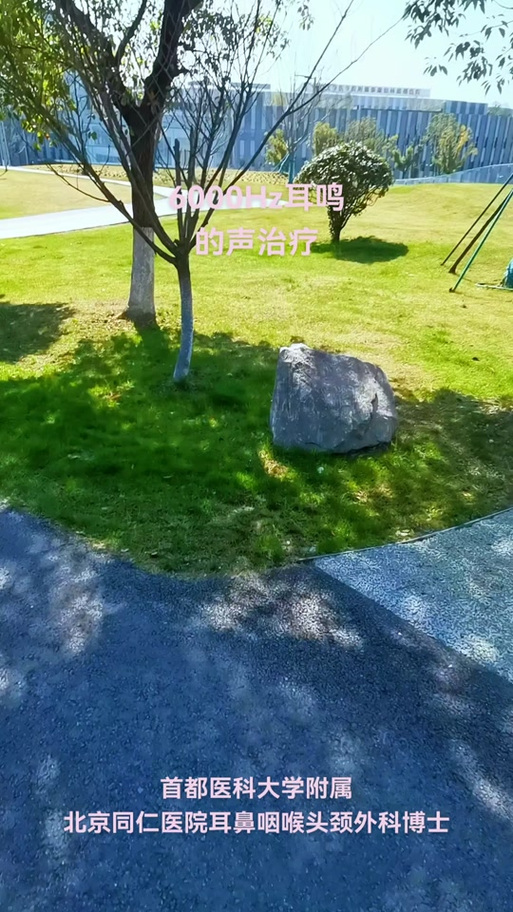 6000赫兹的声音