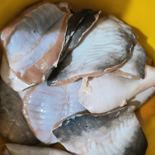 淡水鱼冷冻可以放多久