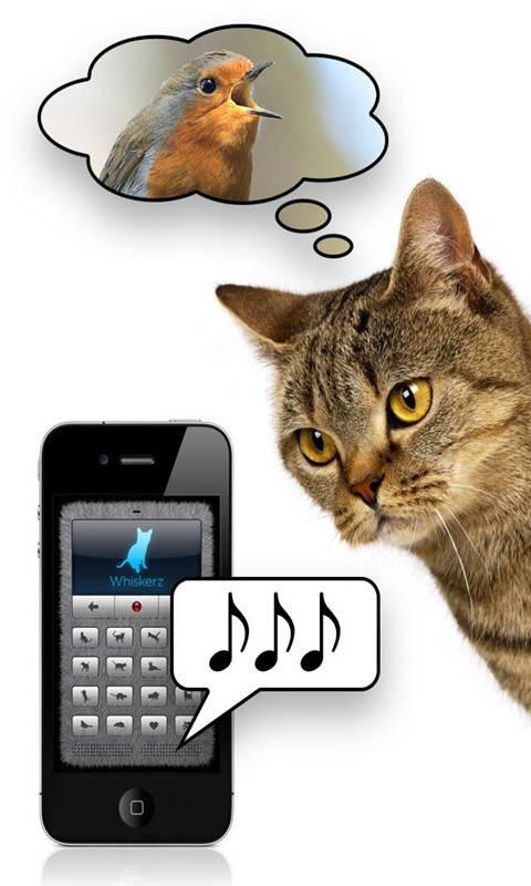 猫语翻译器中文图标