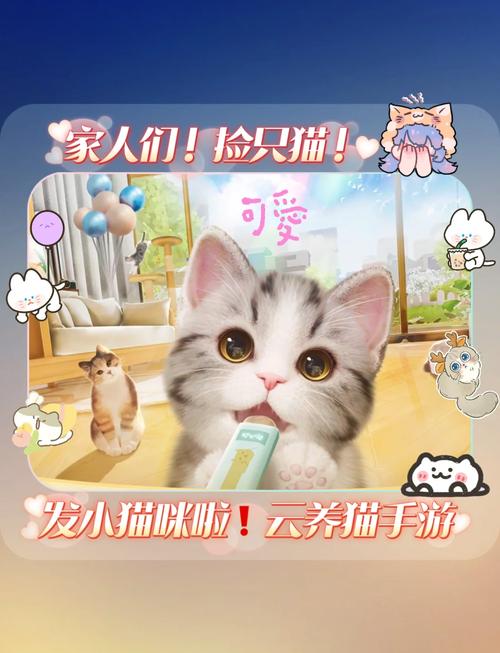 小猫咪玩的手机游戏