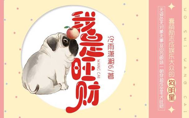我是旺财