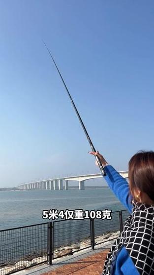 鱼竿中综合竿比较好的图标