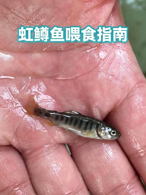 鱼变颜色了怎么回事