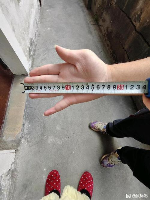 17.5cm抓握