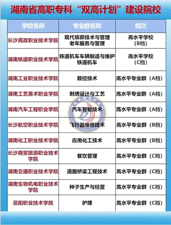 双高计划的大专有哪些
