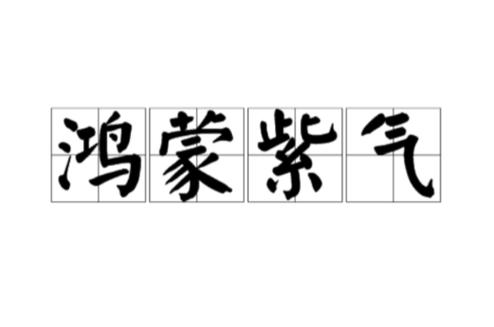 比鸿蒙紫气更强的气