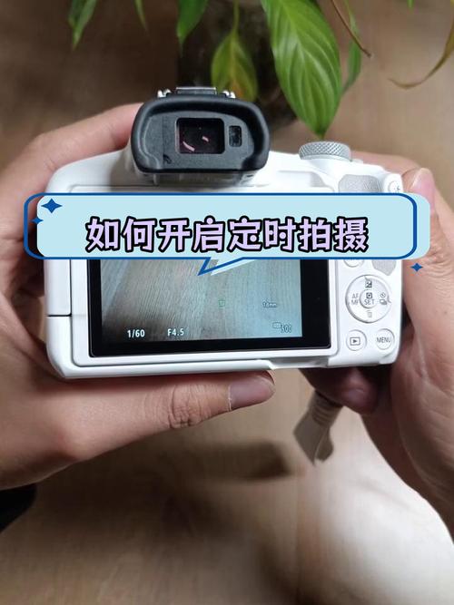 佳能定时拍照设置10秒
