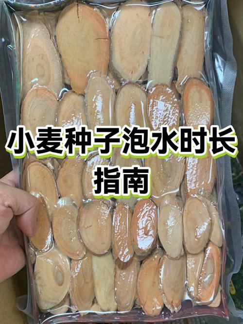 大麦芽泡水喝的功效