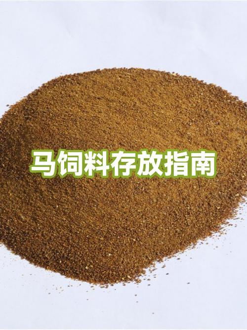 搞个马场做养马生意要多少钱