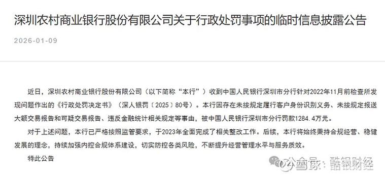 重点可疑交易报告模板截图
