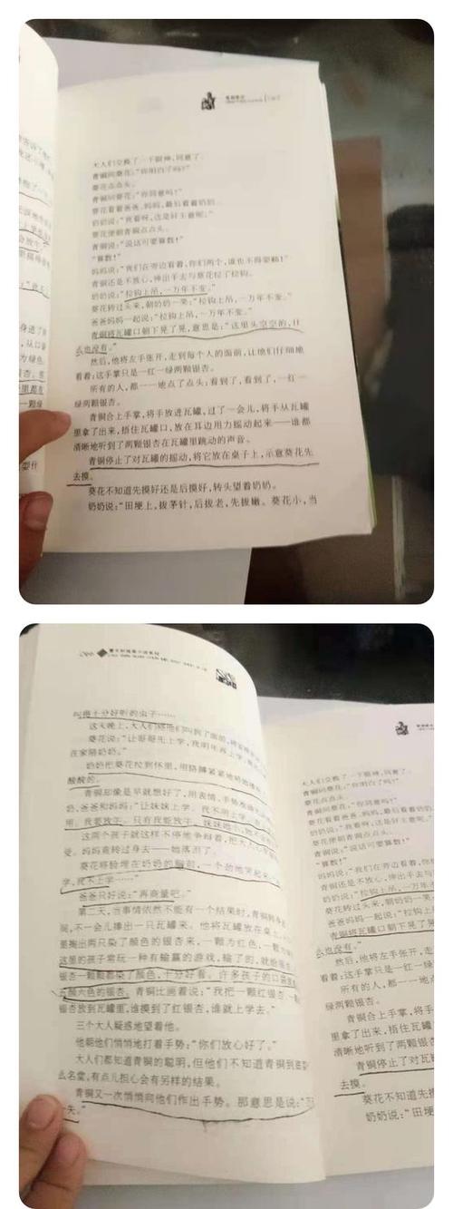带批注的书有哪些