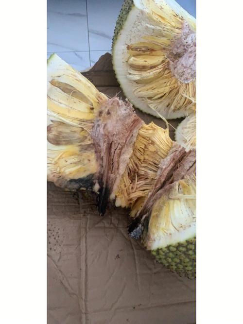 菠萝蜜软了但是没香味