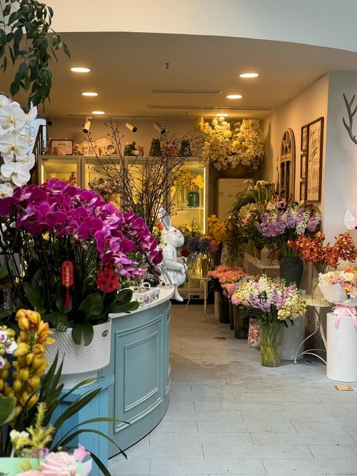 花瓣商店