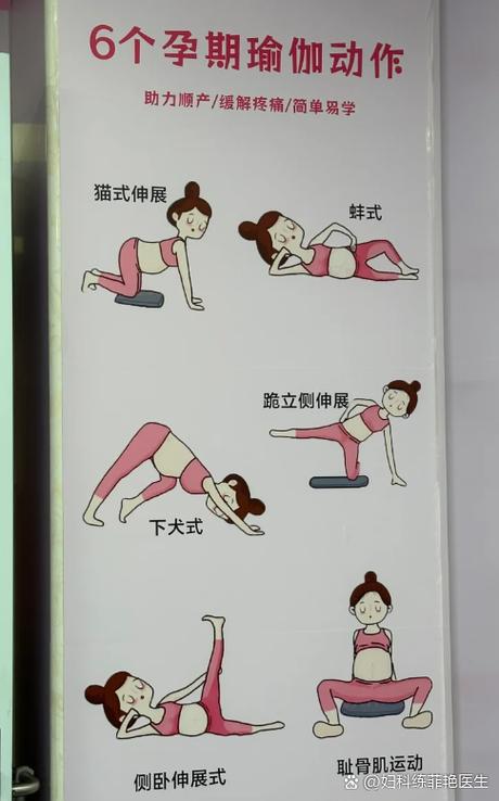 怀孕期间力量训练动作图标