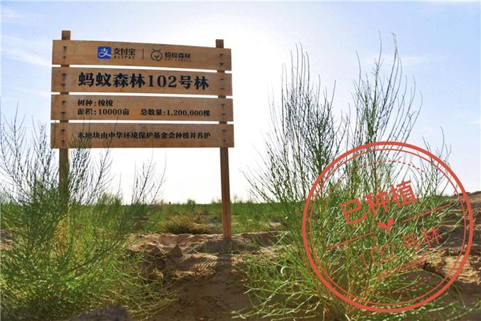 蚂蚁森林公司缩略图