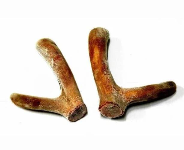 鹿茸煮后外皮脱落图标