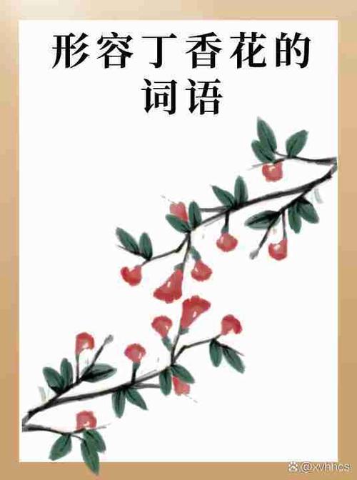 含苞欲放是成语吗