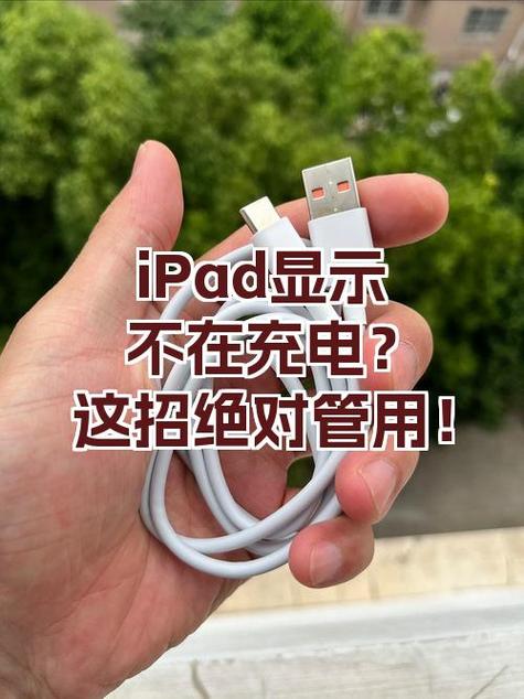 ipad插上充电器显示不在充电图标