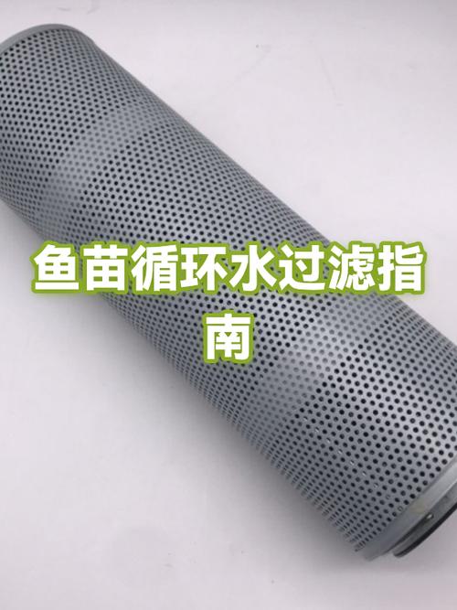 小鱼苗可以开过滤吗