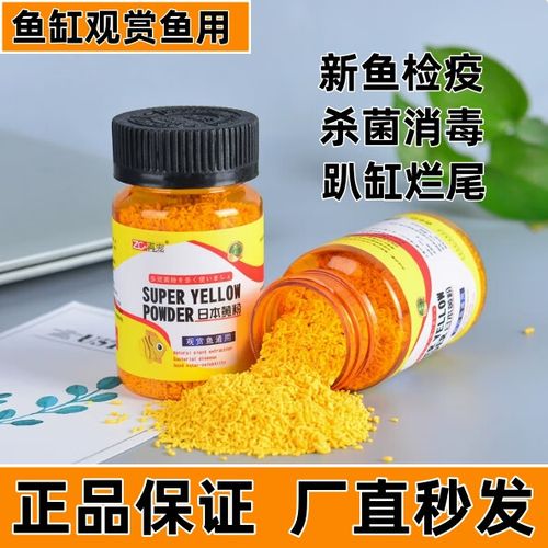 鱼烂尾用什么药治疗
