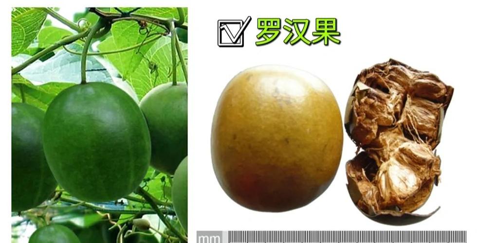神奇果功效与作用