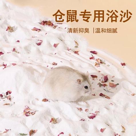 仓鼠需要洗澡吗