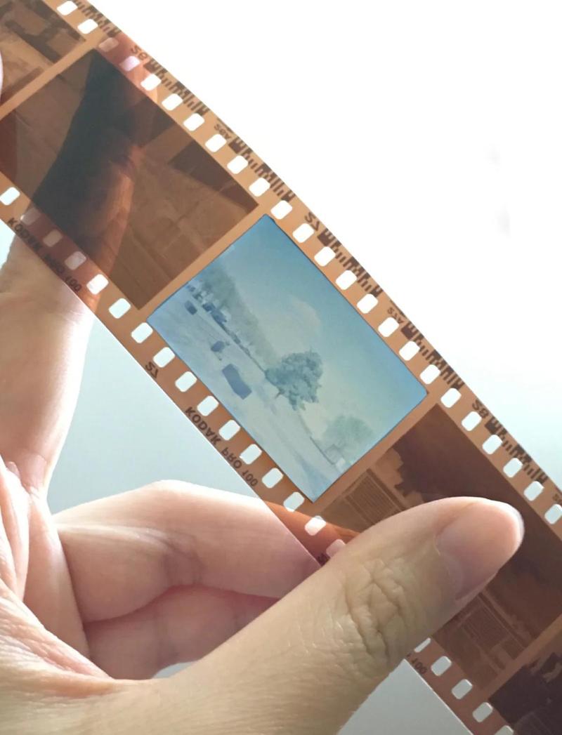 屏幕变成了底片一样
